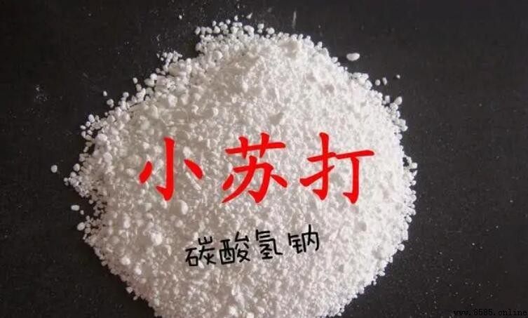 碳酸氢钠是小苏打吗