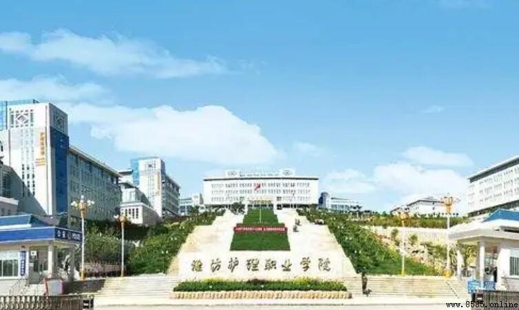 濰坊護理職業學院校址位置