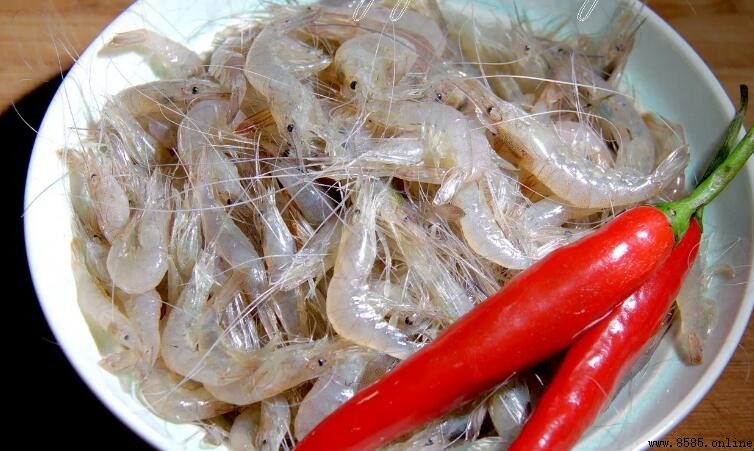 海白蝦是淡水蝦嗎?解析其分布與棲息環境