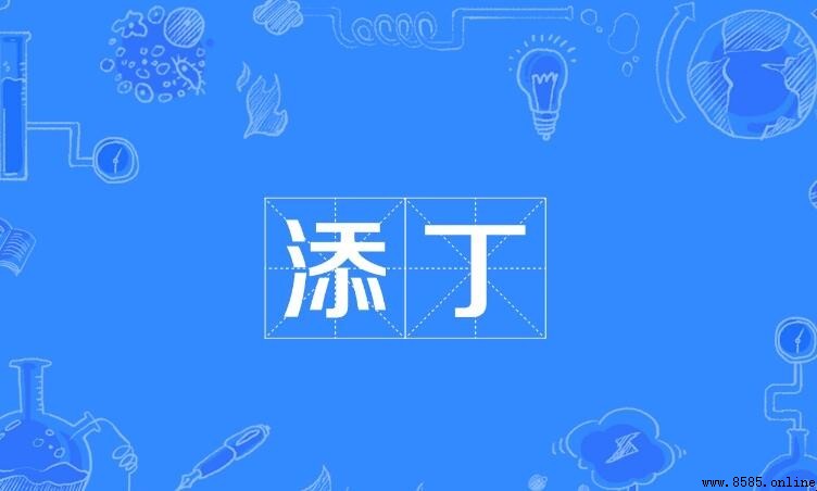 添丁的意思