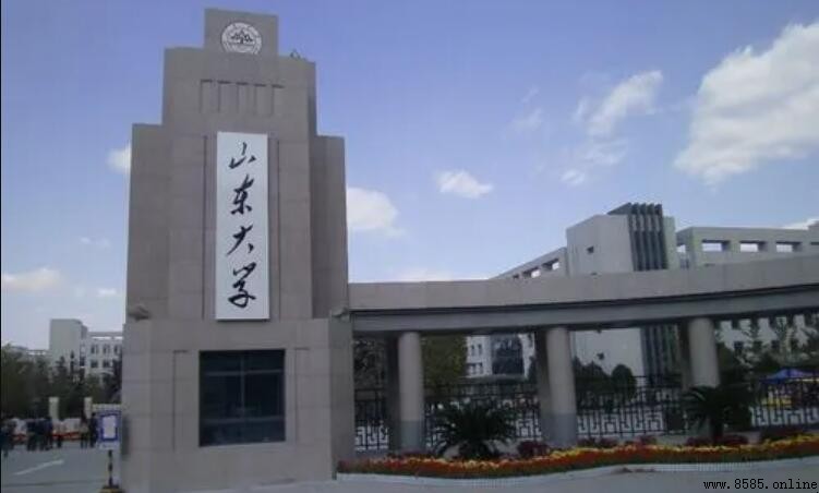 山东大学网络教育学院怎么样