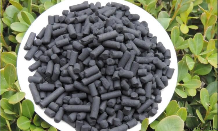 活性炭能除濕嗎？揭開濕氣處理的真相