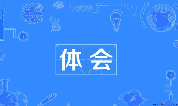 體會的意思與含義