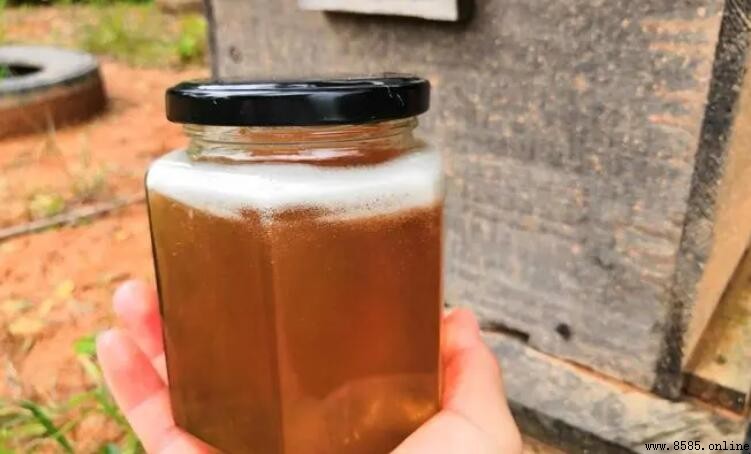 為什麼蜂蜜不會變質?科學解讀其保存原理