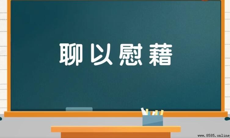 聊以慰藉的意思