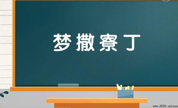夢撒寮丁的意思