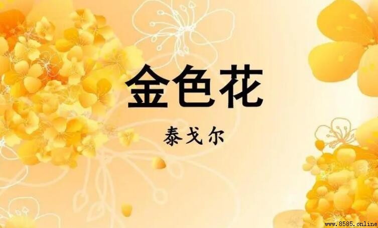 《金色花》讀後感怎麼寫 — 母子深情的文學呈現與實踐