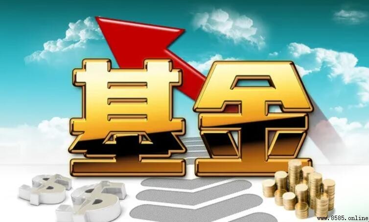 股票型基金的投资风险有哪些