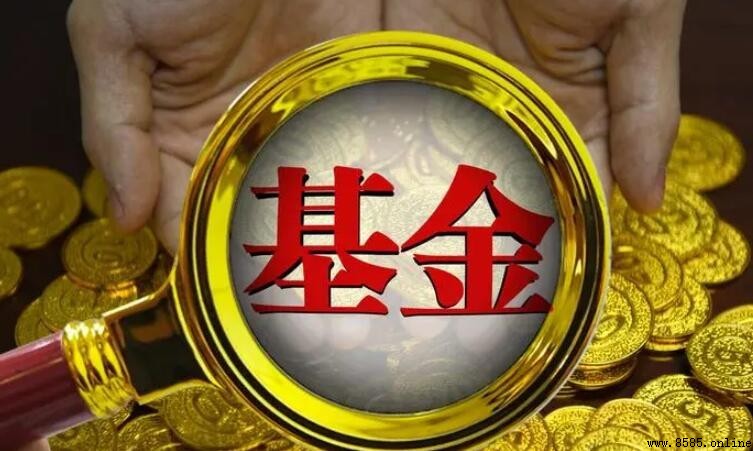 股票型基金與股票的區別解析