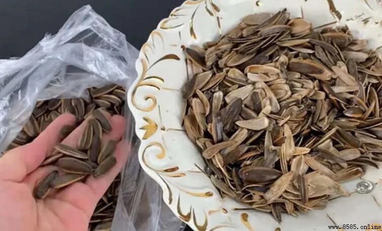 瓜子殼是否屬於廚余垃圾