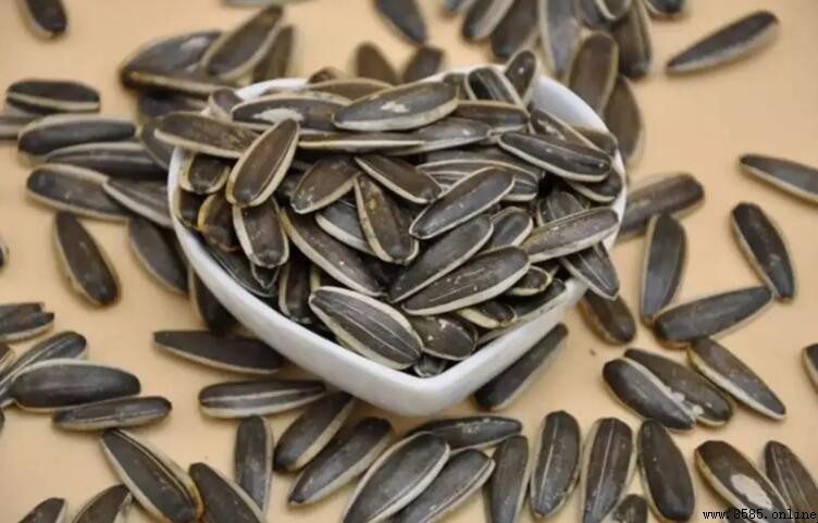 吃瓜子會長胖嗎?營養師解析热量與食用建議