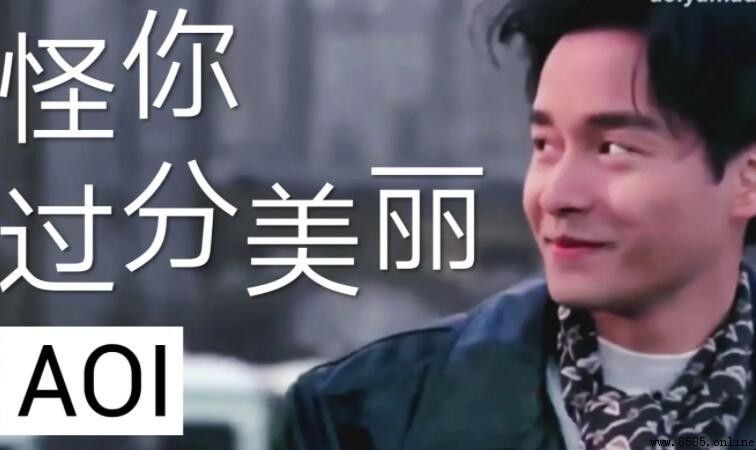 《怪你过分美丽》歌词解析
