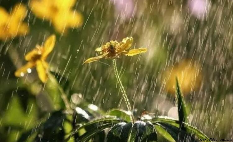 如何将“綿綿的春雨不停地下著”改為比喻句