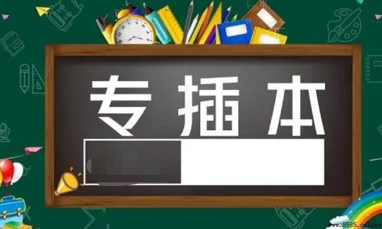 專插本與專升本的差異解析