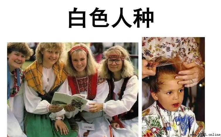 世界上人口最多的人種是什麼？