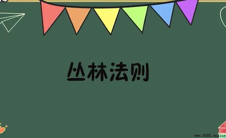 叢林法則的含義與解讀