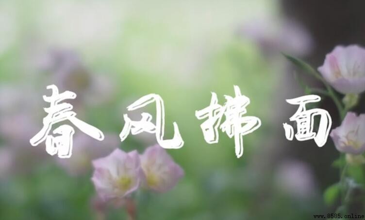 春風拂面的意思與詞源解析
