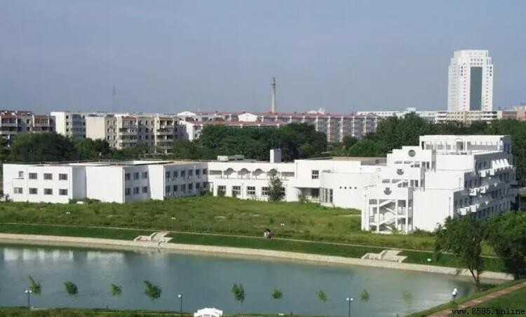 东北石油大学秦皇岛校区是本科吗？