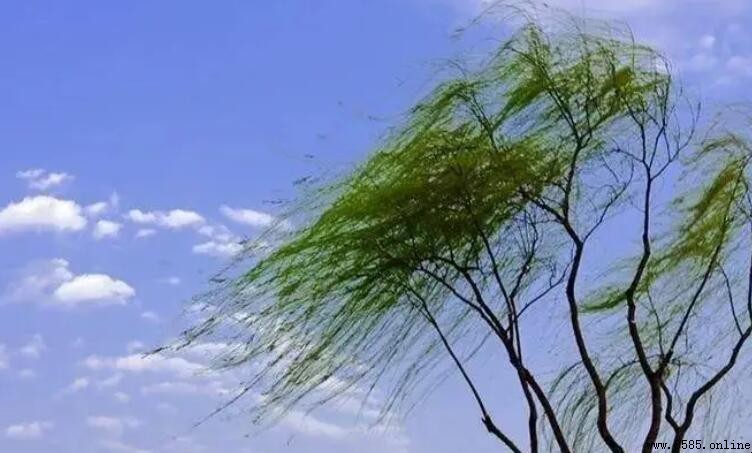 春风还像什么填空