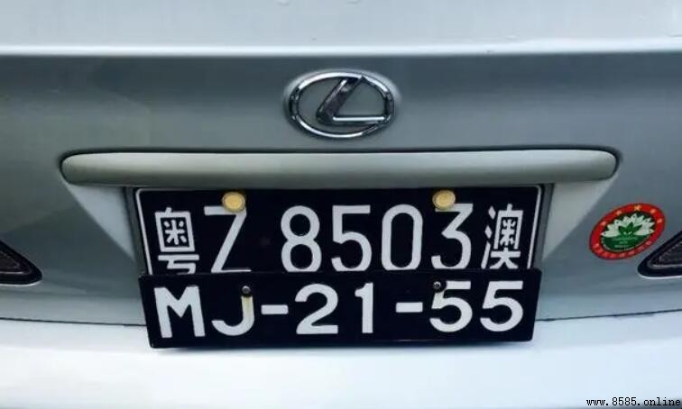 雙車牌號的含義與用途