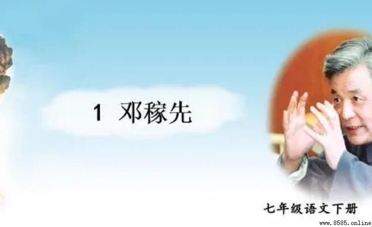《鄧稼先》文章的作者是誰