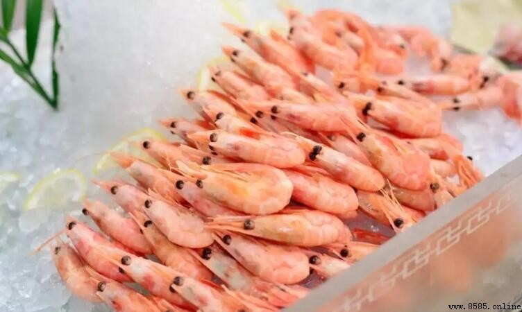 冰蝦可以直接吃嗎？解凍後食用安全與美味指南
