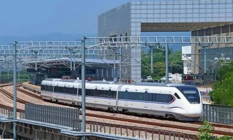動車能否攜帶寵物?相關規定與替代方案