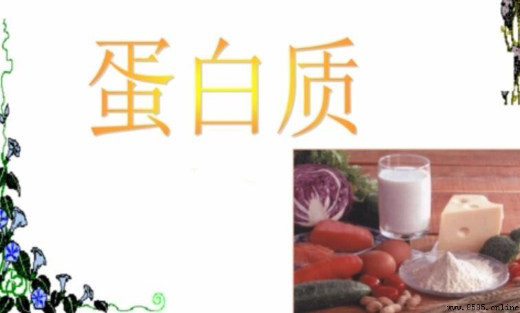 蛋白質由什麼組成
