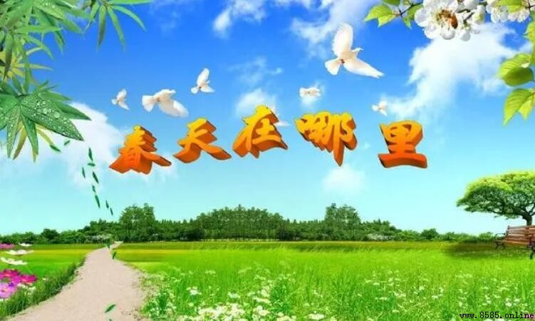 春天在哪里作文写作指南