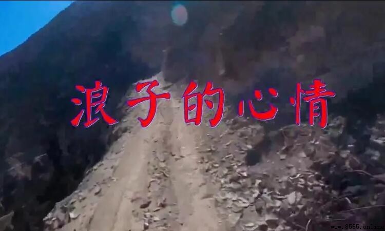 浪子的意思
