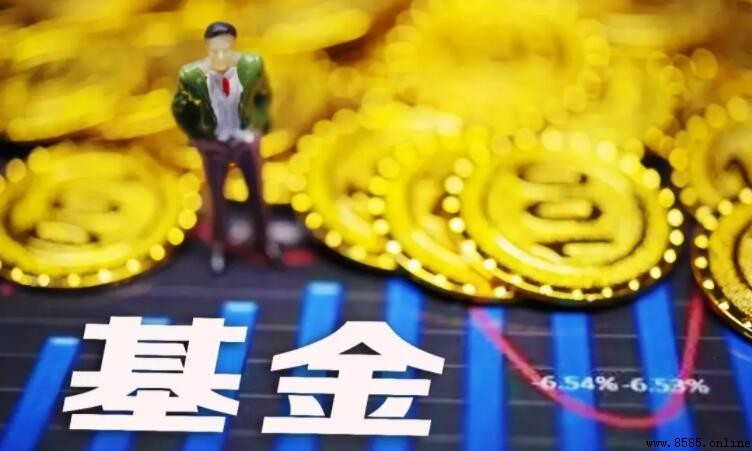基金每日收益計算公式說明