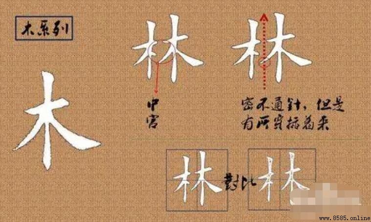 林字旁的字有哪些
