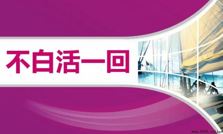 《不白活一回》歌词