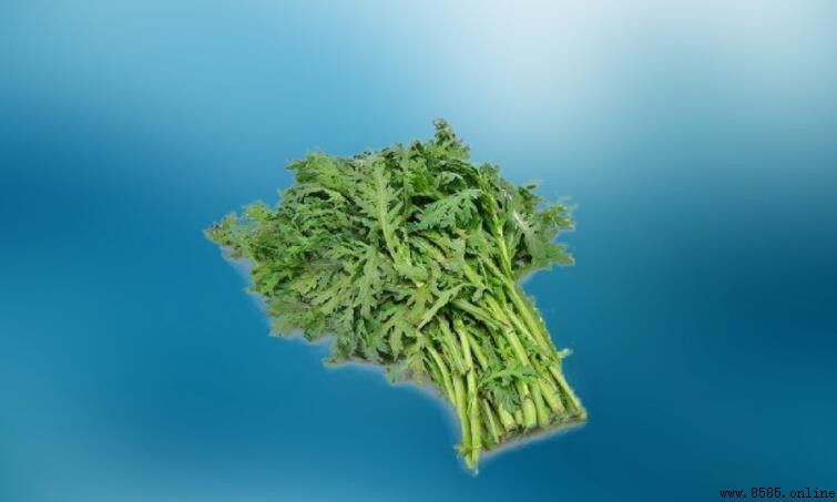 蒿子與艾草差別在哪?4個要點快速分辨