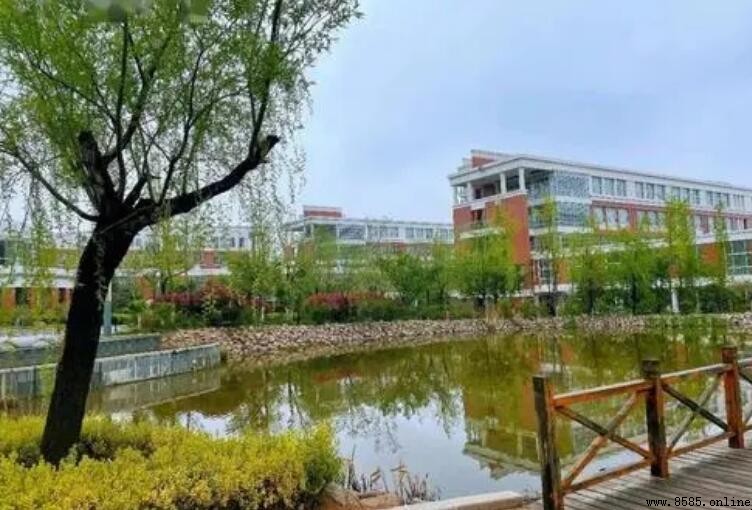 校园春天作文写作指南与示例