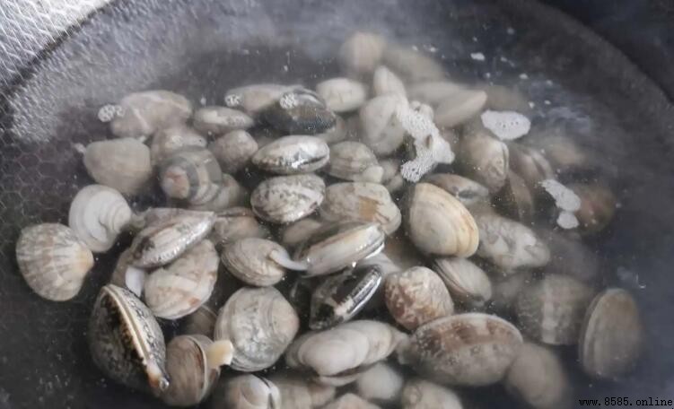 花甲泡一晚會死嗎?詳解正確保存方法