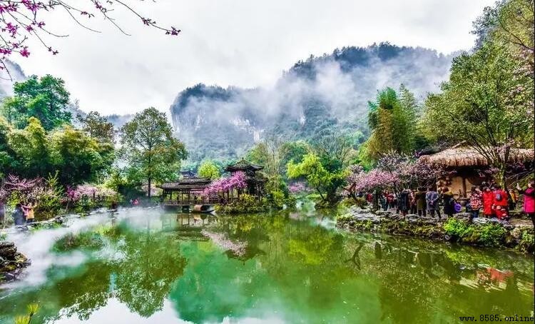 我心中的桃花源作文怎麼寫