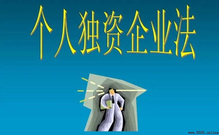 自然人獨資企業的特點