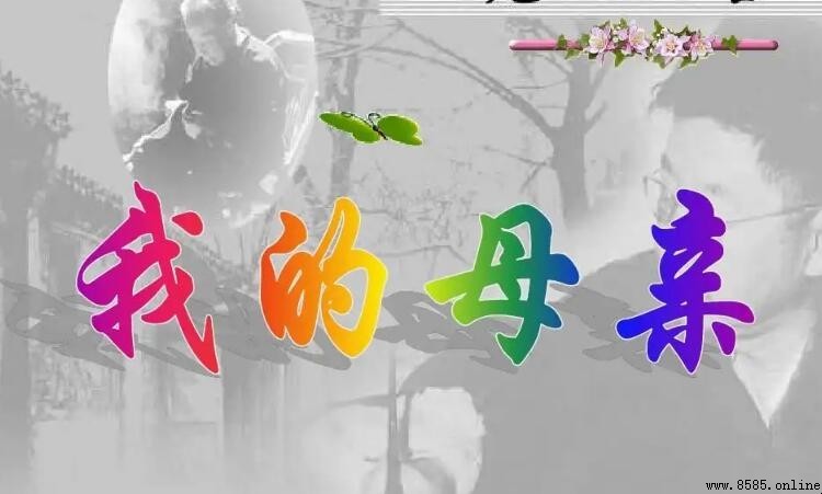 《我的母亲》读后感写作指南与范文赏析