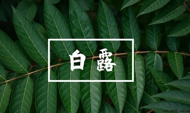 白露屬於哪個季節