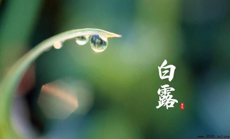 白露節氣氣溫多少度？了解秋季舒適氣溫的特徵