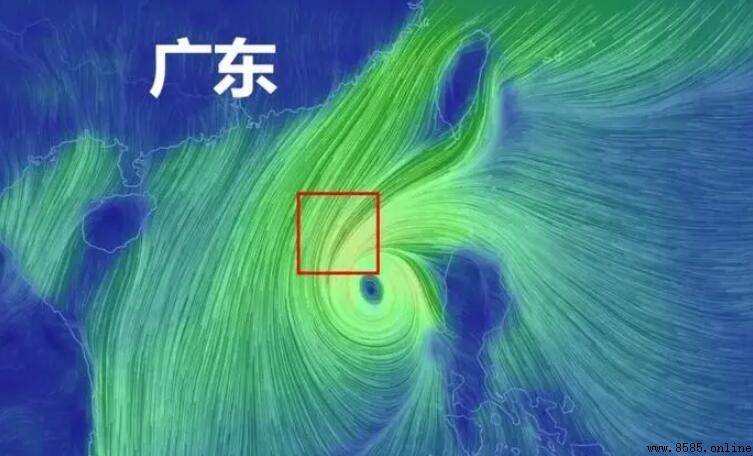 台風白色預警等級是高還是低?解析台風預警分級與意義