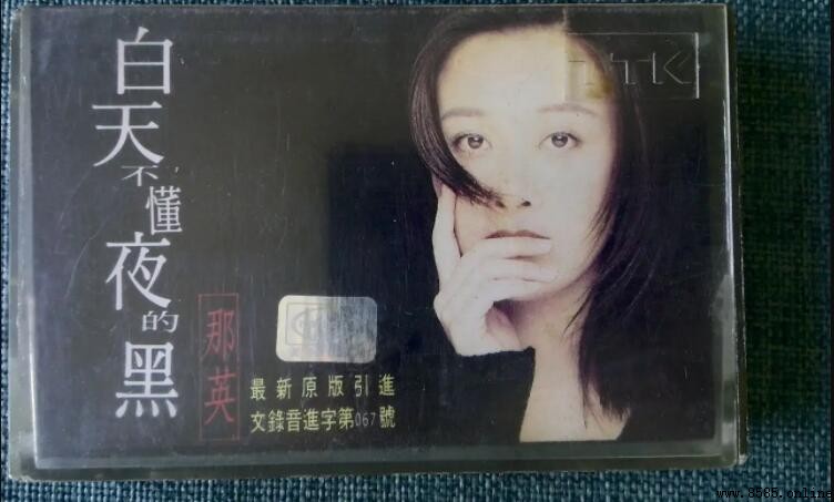 《你永远不懂我伤悲》是哪首歌?