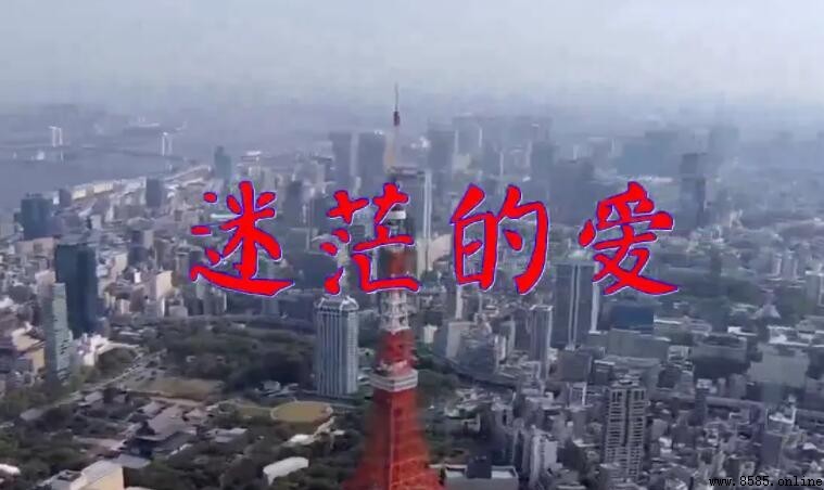 《迷茫的爱》歌词解析