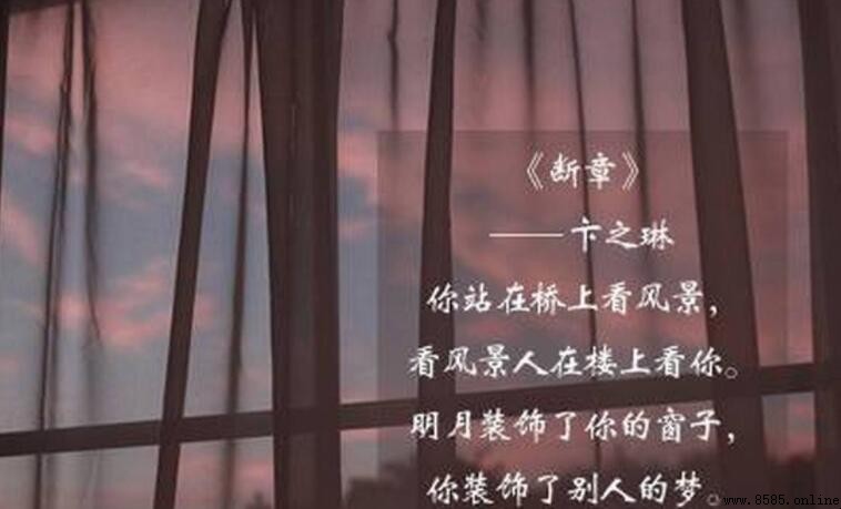 你裝飾了別人的夢上一句是什麼