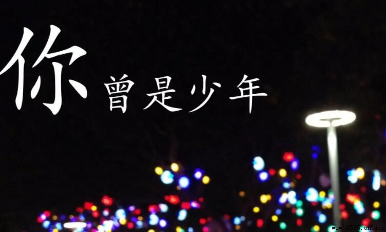 《你曾是少年》歌词解析