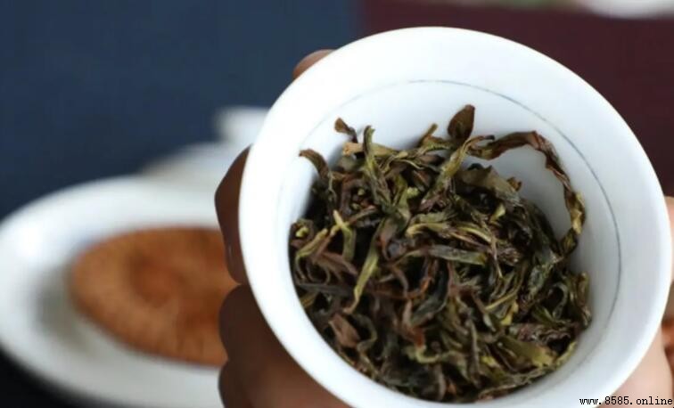 單枞茶屬於什麼茶？解析其半發酵性質與特色