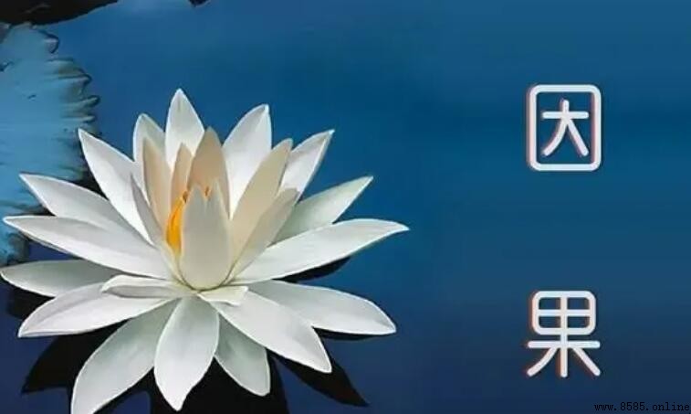 不昧因果與不落因果的區別解析