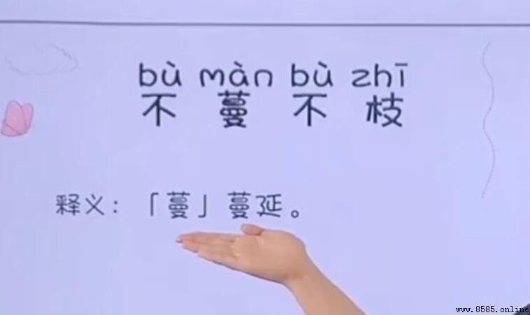 不蔓不枝的意思與用法