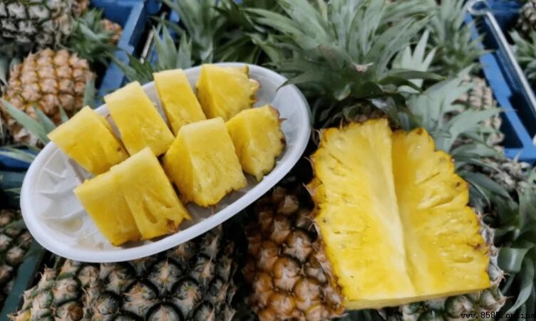 吃菠萝会「上火」嗎？解析其實與食用量的關係